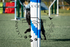 A740490