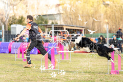 A748978_AS0226