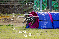 A745990_AS0226