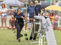 P7190661