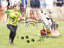 P7191121