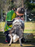 P2070481_AS2026