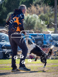 P2070666_AS2026