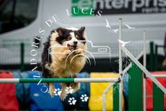 A744555_AB0426