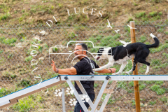 A749301_AO0526