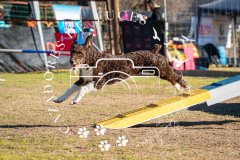 A743681_AS0226