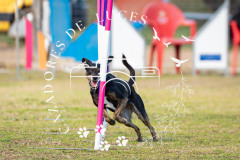 A748512_AS0226